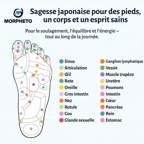 Morpheto - Semelles FlexMagnet™